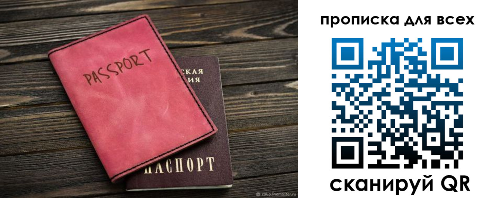 прописка гарантия в Фокино